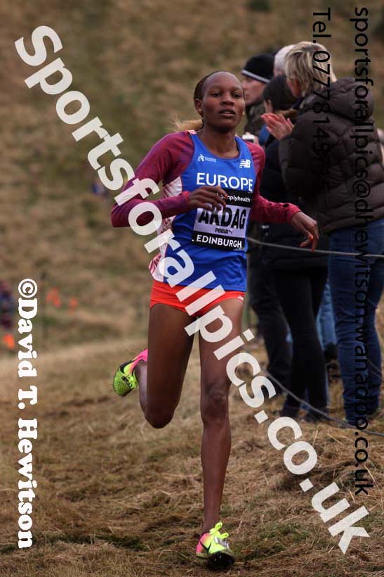 Senior womens Great Edinburgh Cross Country, 2017 Great Edinburgh Cross Country. Photo: David T. Hewitson/Sports for All PIcs